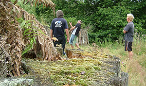 Disc Golf New Zealand Disc Golf New Zealand