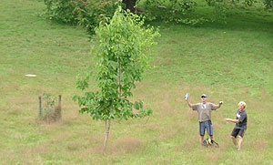 Disc Golf New Zealand Disc Golf New Zealand