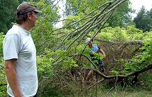 Disc Golf New Zealand Disc Golf New Zealand