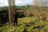 Disc Golf NZ