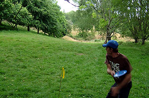 Disc Golf New Zealand