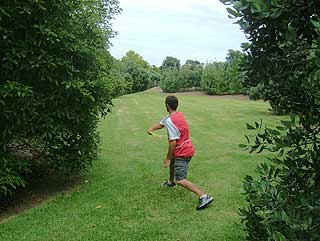 Disc Golf New Zealand