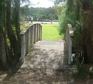 Disc Golf New Zealand