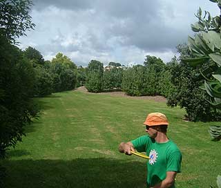 Disc Golf New Zealand