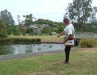 Disc Golf New Zealand Disc Golf New Zealand