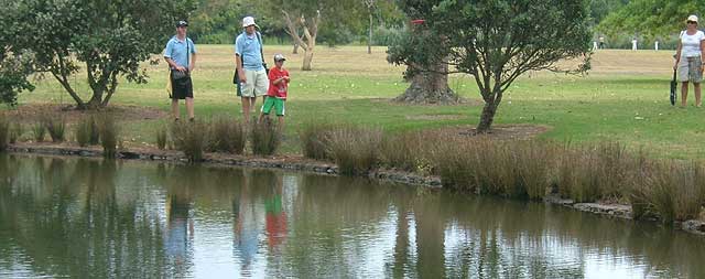 Disc Golf New Zealand Disc Golf New Zealand
