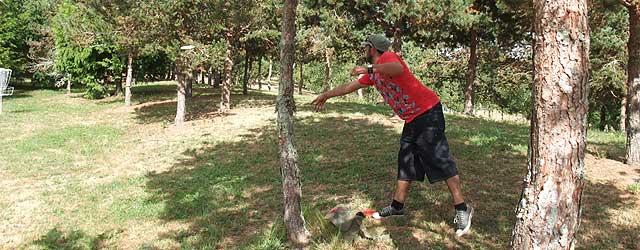 Disc Golf New Zealand