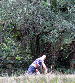 Disc Golf New Zealand