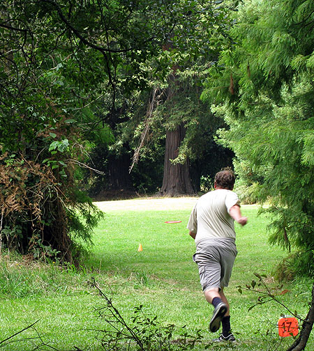 Disc Golf New Zealand