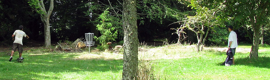 Disc Golf New Zealand