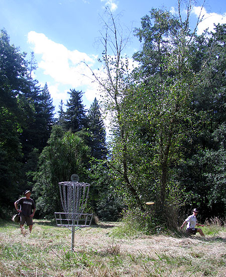 Disc Golf New Zealand