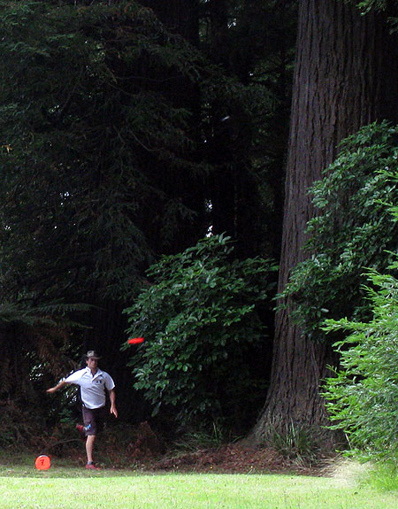 Disc Golf New Zealand