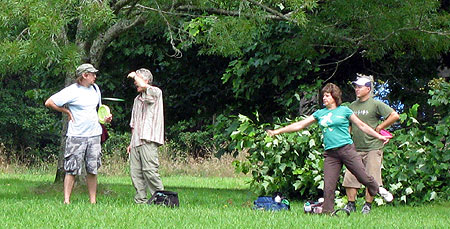 Disc Golf New Zealand