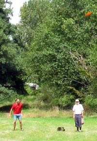 Disc Golf New Zealand