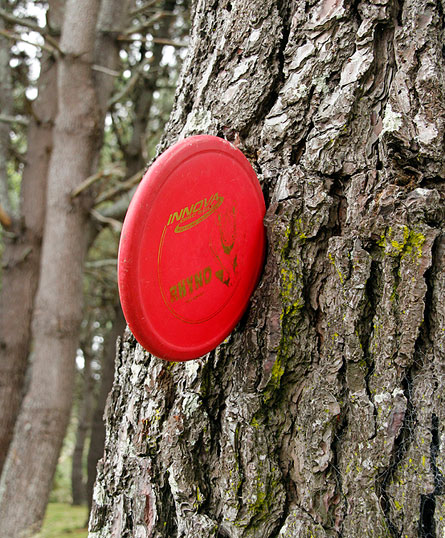 Disc Golf New Zealand