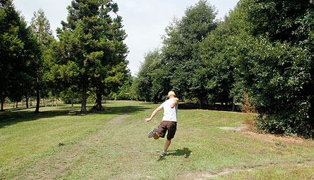 Disc Golf New Zealand