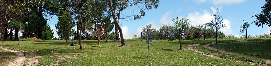 Disc Golf New Zealand