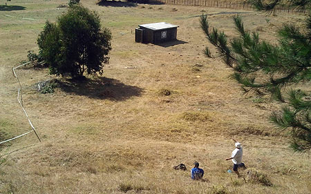 Disc Golf New Zealand