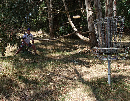 Disc Golf New Zealand