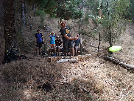 Disc Golf New Zealand