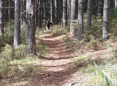 Disc Golf New Zealand