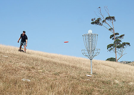 Disc Golf New Zealand