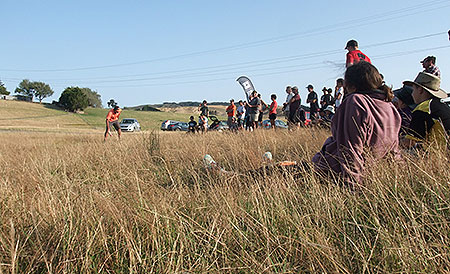 Disc Golf New Zealand