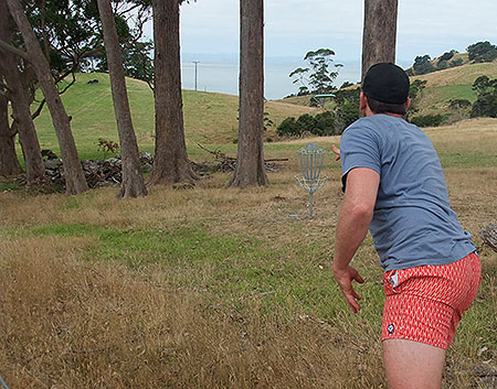 Disc Golf New Zealand