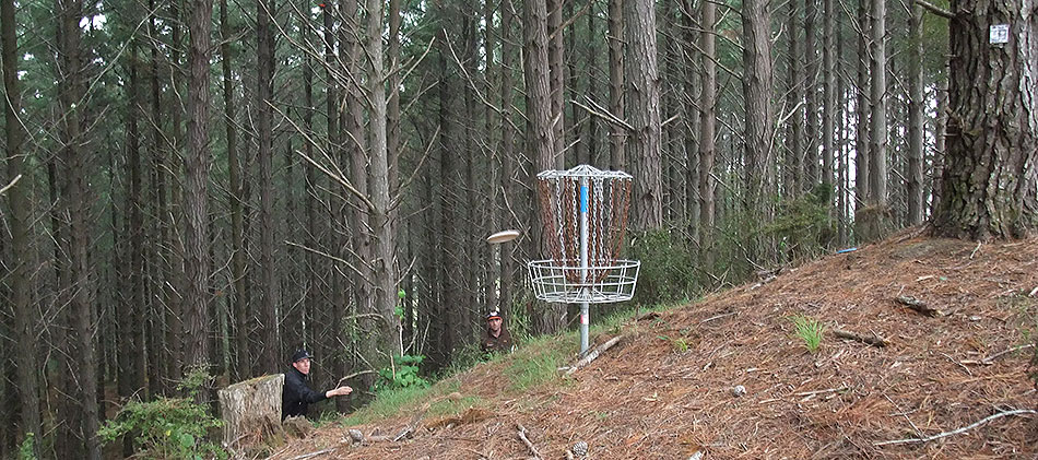 Disc Golf New Zealand