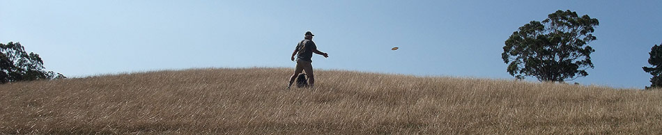 Disc Golf New Zealand