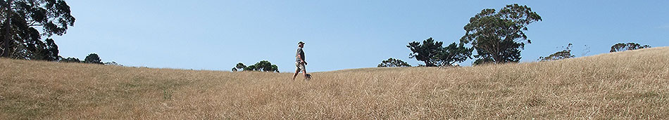 Disc Golf New Zealand