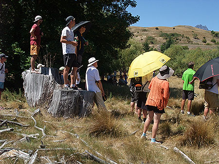 Disc Golf New Zealand