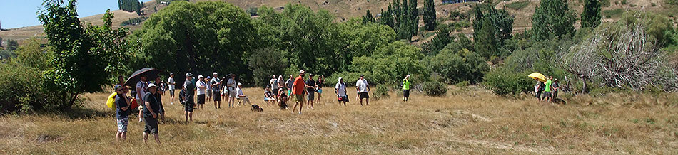 Disc Golf New Zealand