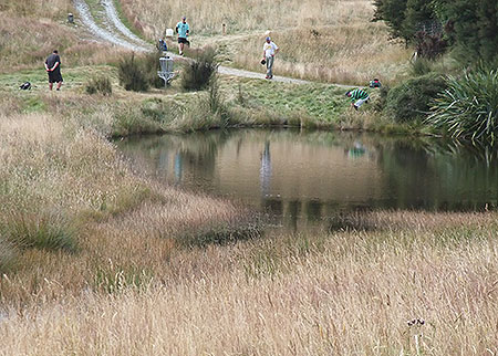 Disc Golf New Zealand