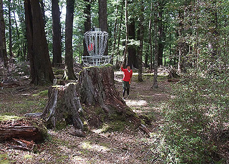 Disc Golf New Zealand