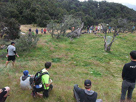 Disc Golf New Zealand