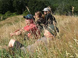 Disc Golf New Zealand