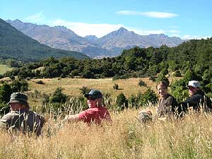 Disc Golf New Zealand