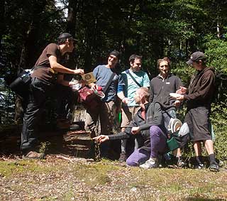 Disc Golf New Zealand Disc Golf New Zealand