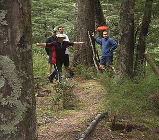 Disc Golf New Zealand