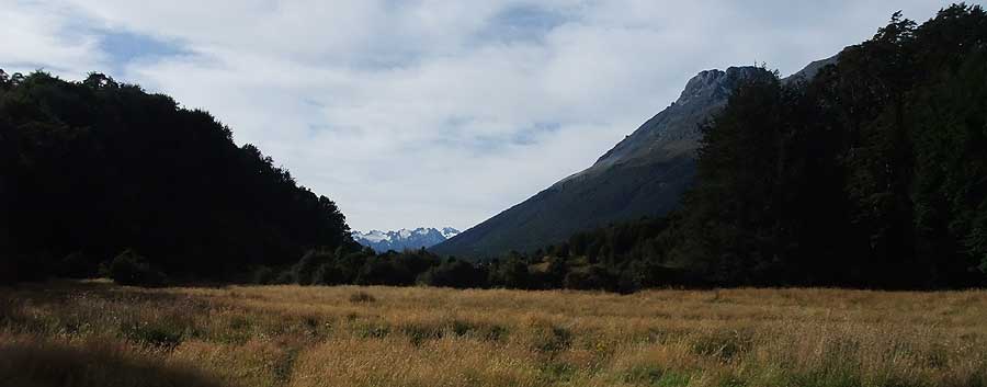 Disc Golf New Zealand