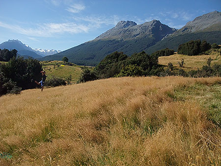 Disc Golf New Zealand