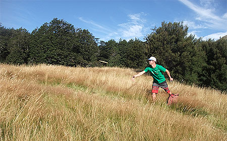 Disc Golf New Zealand