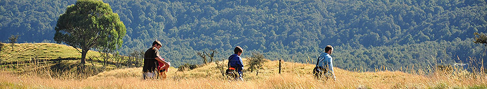 Disc Golf New Zealand