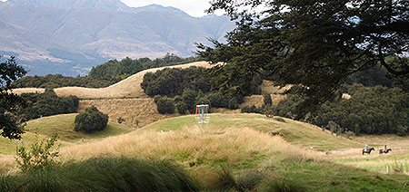 Disc Golf New Zealand