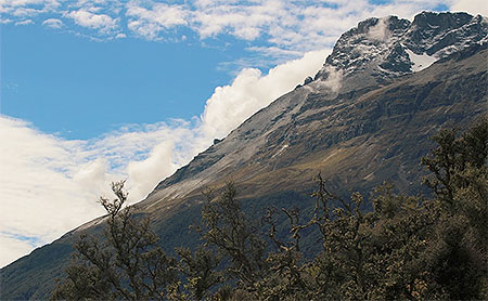 Disc Golf New Zealand