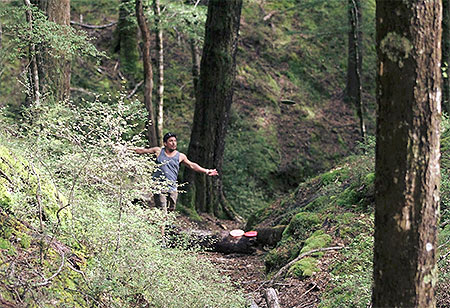 Disc Golf New Zealand