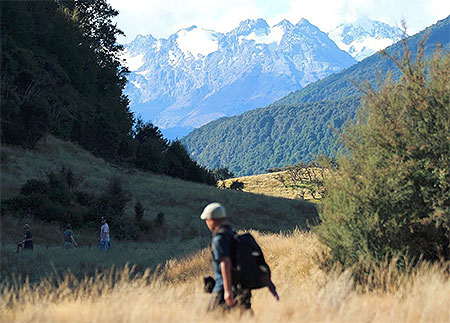 Disc Golf New Zealand