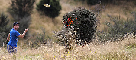 Disc Golf New Zealand