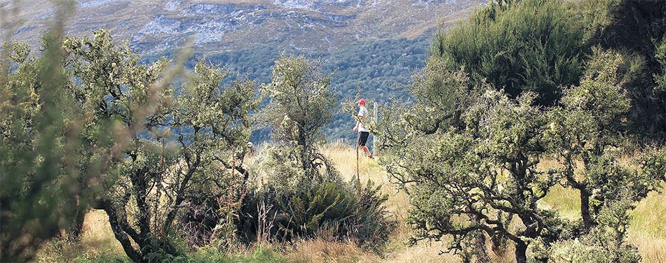 Disc Golf New Zealand